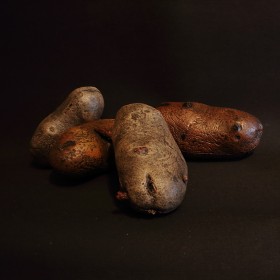 Cette patate a tout d'une vraie, sauf le goût et les propriétés nutritionnelles