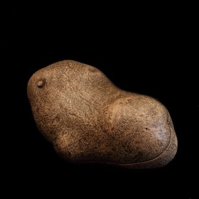 Faut-il le préciser ? La patate de GN n'est pas un tubercule comestible.