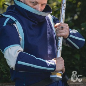 Ces brassards font partie de la tenue de clercs Donjons & Dragons