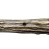 Bâton de mage élémentaire