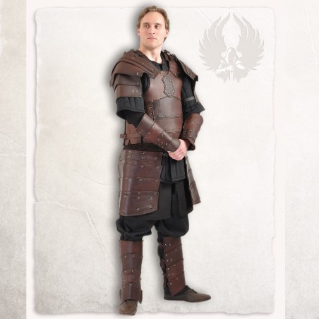 L'armure complète Albrecht, couleur marron
