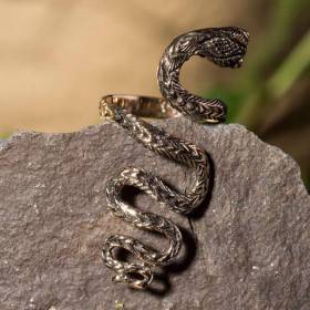 La bague en forme de serpent en milieu naturel