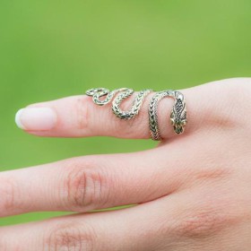 Ce petit serpent plein de détails semble bien installé sur votre doigt